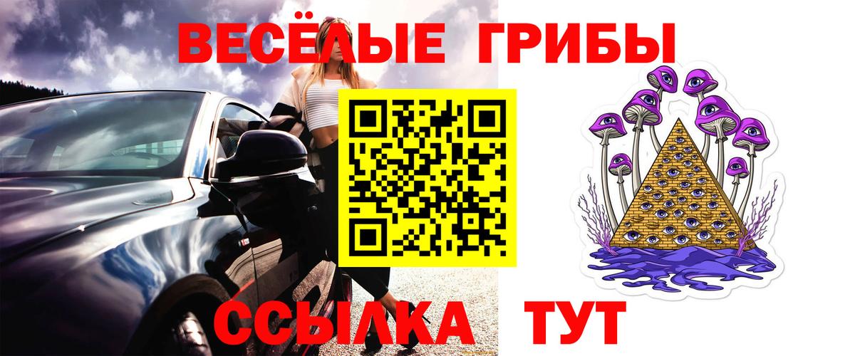Псилоцибиновые грибы ЛСД Тайшет