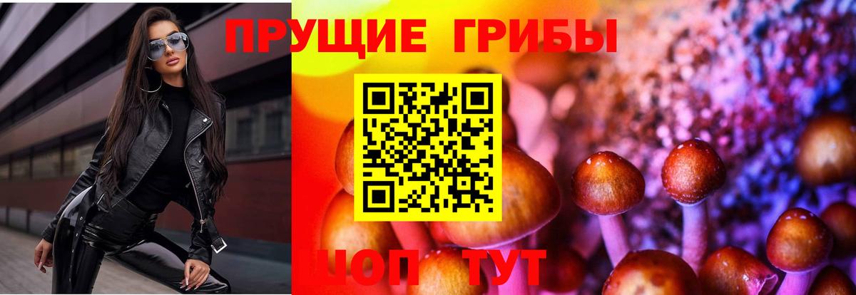 Псилоцибиновые грибы ЛСД  Вход с VPN  Тайшет 